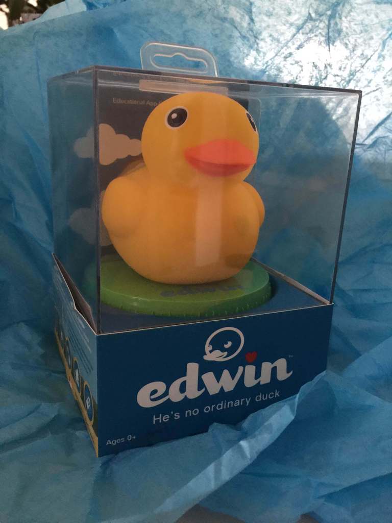 meet-edwin-the-duck-the-smartest-rubber-ducky-on-the-planet